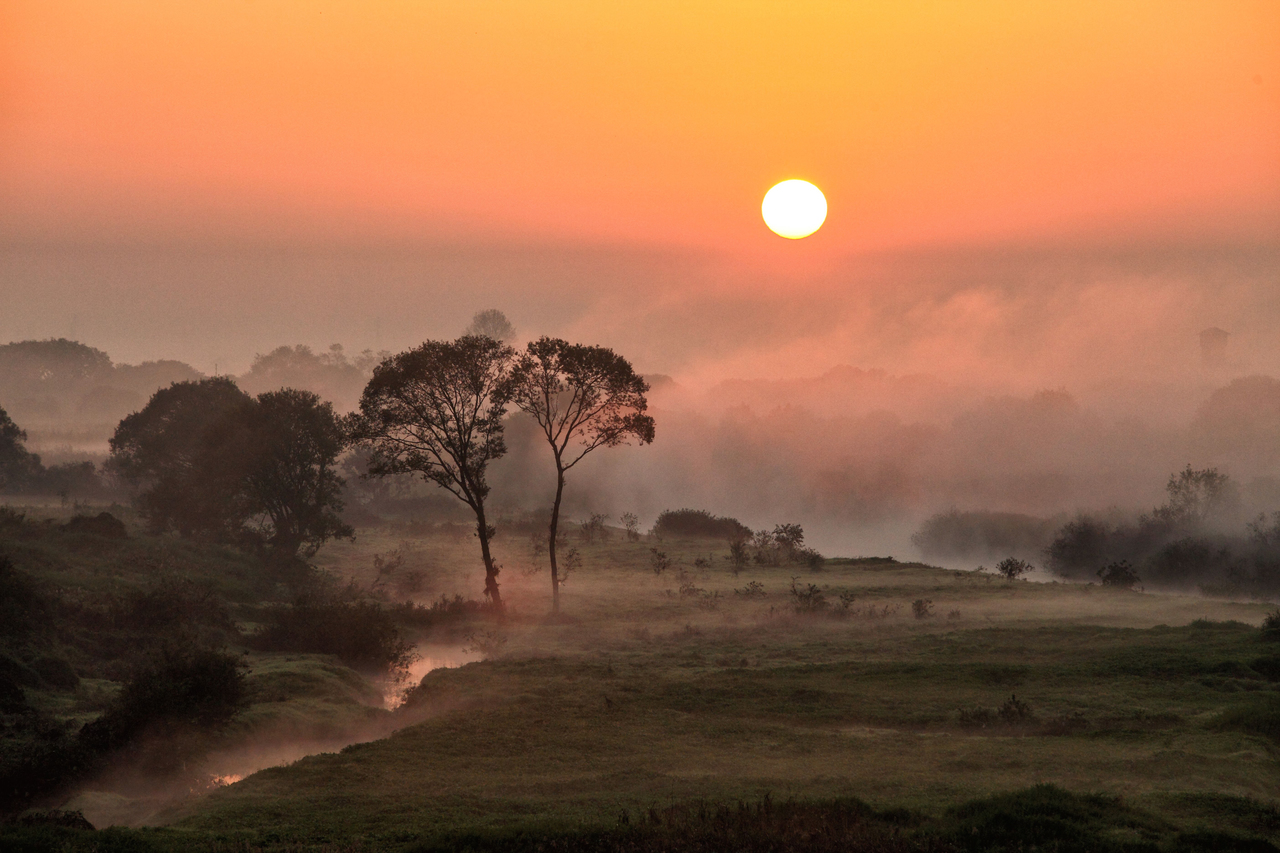 tochigi-A_sunrise_in_the_Watarase_overflow_place_-s